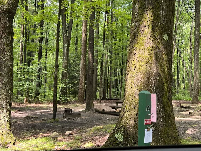 Rhododendron Camping Area Picture 4