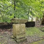 Camp Muffly
