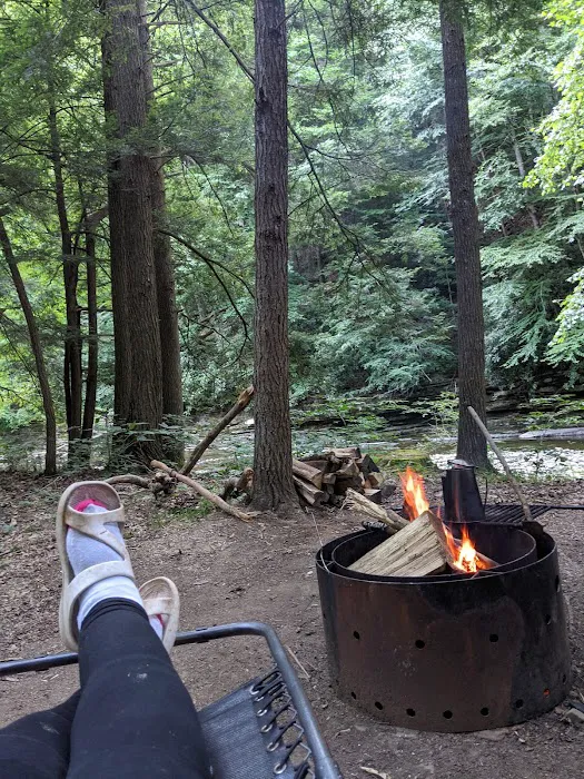 Horseshoe Recreation and Campground Area Picture 6