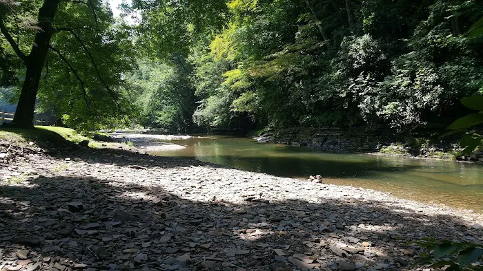 Horseshoe Recreation and Campground Area Picture 3