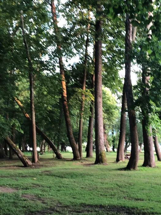 Five River Campgrounds Picture 6