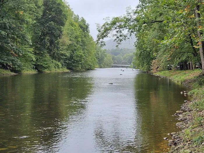 Five River Campgrounds Picture 5
