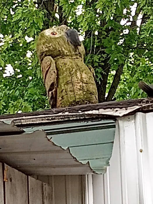 Four Seasons Trailer Park Picture 1