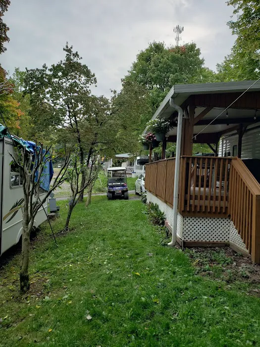 Hart's Content Campground Picture 3