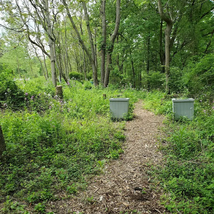 Montour Trail Boggs Campsite/Trailhead Picture 4