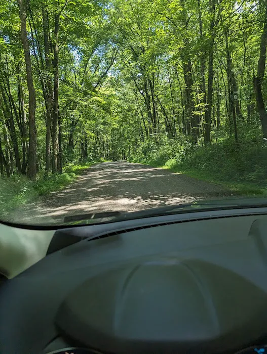 Raccoon Creek State Park Campground Picture 6