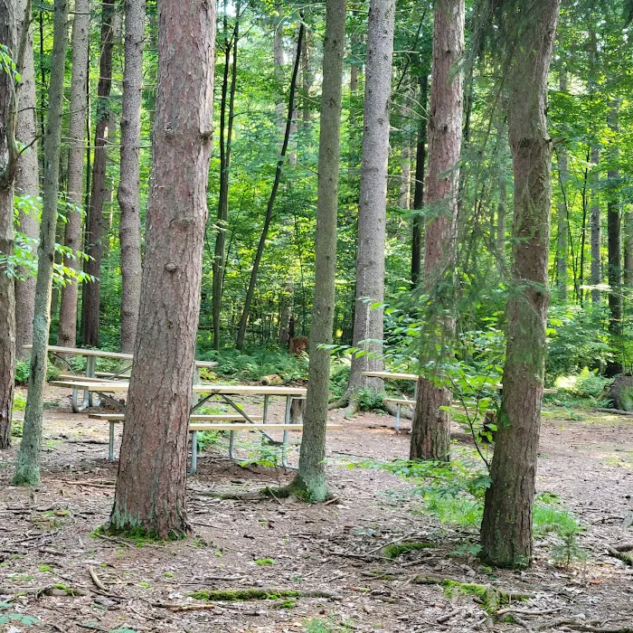 Raccoon Creek State Park Campground Picture 7