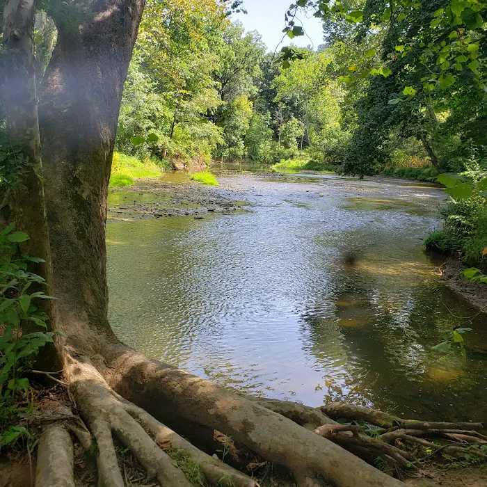 Raccoon Creek State Park Campground Picture 9