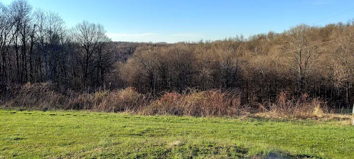 Ernies Acres Campground Picture 6
