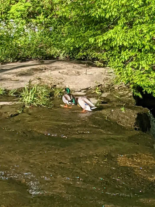 Creekside Camping, L.L.C. Picture 6