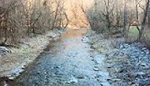 Creekside Camping, L.L.C. Picture 1