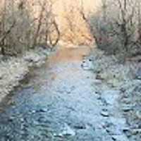 Creekside Camping, L.L.C. ico