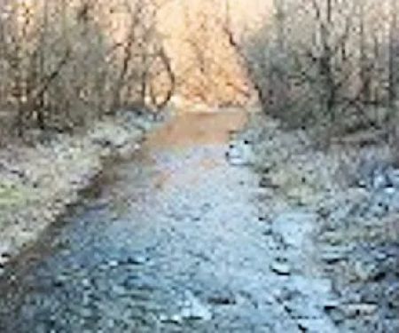 Creekside Camping, L.L.C.