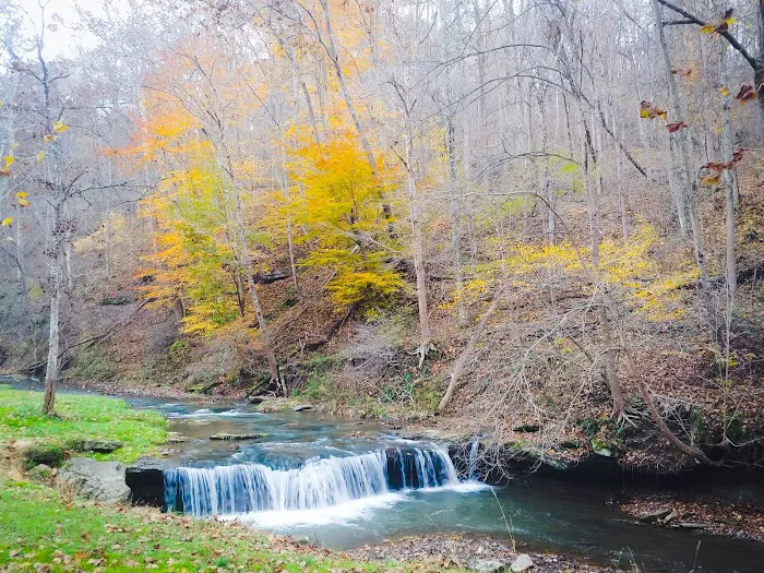 Creekside Camping, L.L.C. Picture 10
