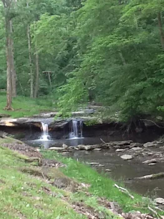 Creekside Camping, L.L.C. Picture 4