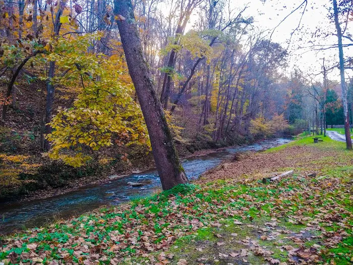 Creekside Camping, L.L.C. Picture 5