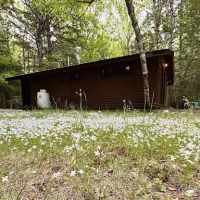 White's Beach & Campground, Inc. ico