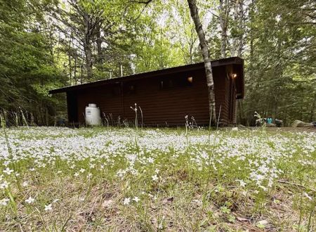 White's Beach & Campground, Inc.