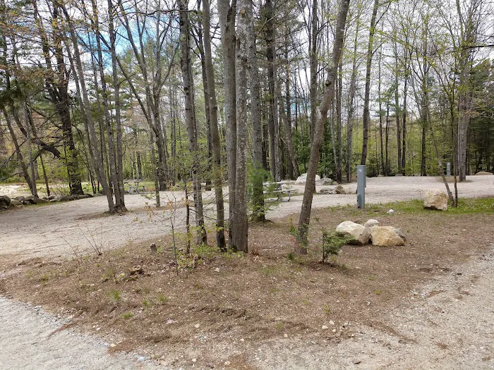 Durham Leisure Campground Picture 10