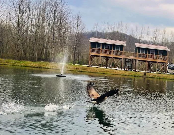 Sheltowee RV Park & Cabins Picture 1