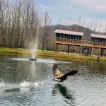 Sheltowee RV Park & Cabins