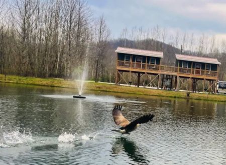 Sheltowee RV Park & Cabins