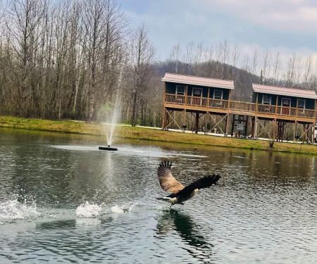 Sheltowee RV Park & Cabins