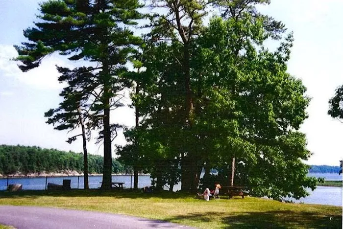 Thomas Point Beach & Campground Picture 4
