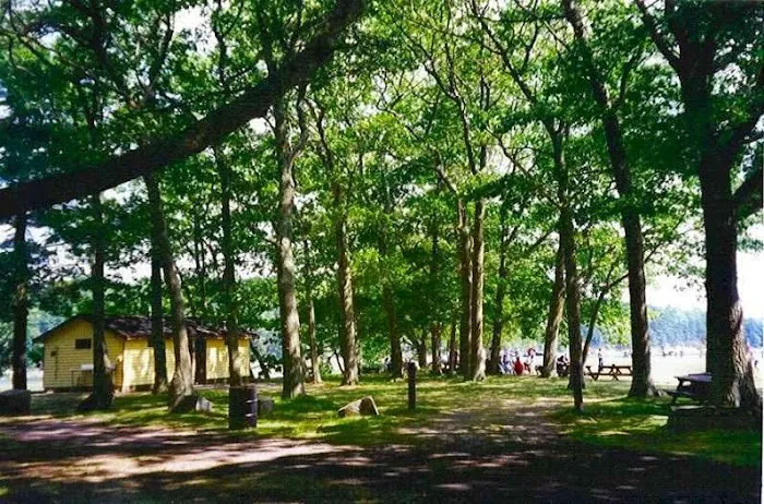 Thomas Point Beach & Campground Picture 10