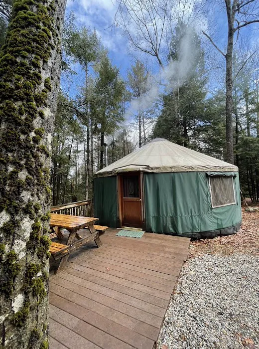 Maine Forest Yurts Picture 1