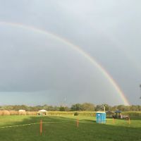 The Ole Cornfield ico