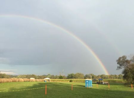 The Ole Cornfield