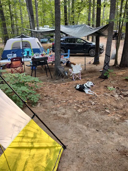 Poland Spring Campground Picture 4