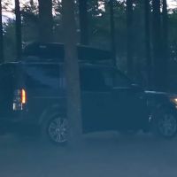 Camp Tall Pines ico