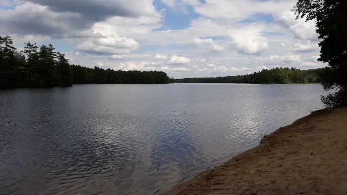 Camp Tall Pines Picture 7