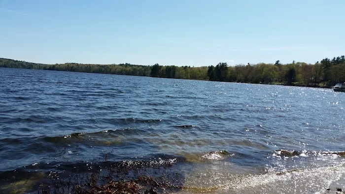 Camp Tall Pines Picture 10