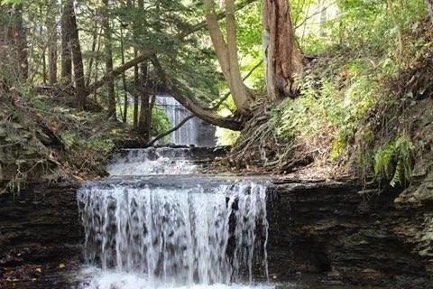 Uncle John's Elk Creek Campground Picture 9