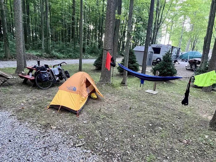 Pine Lane Campground Picture 2