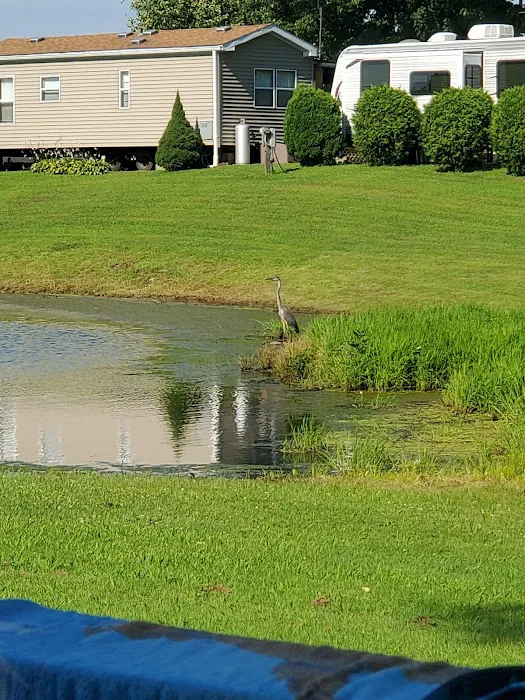 Pine Lane Campground Picture 9