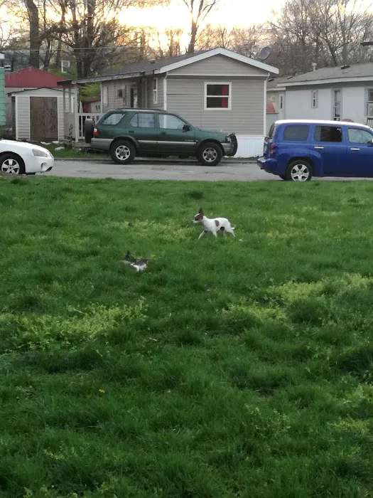 Gonzalez Mobile Home Park Picture 3