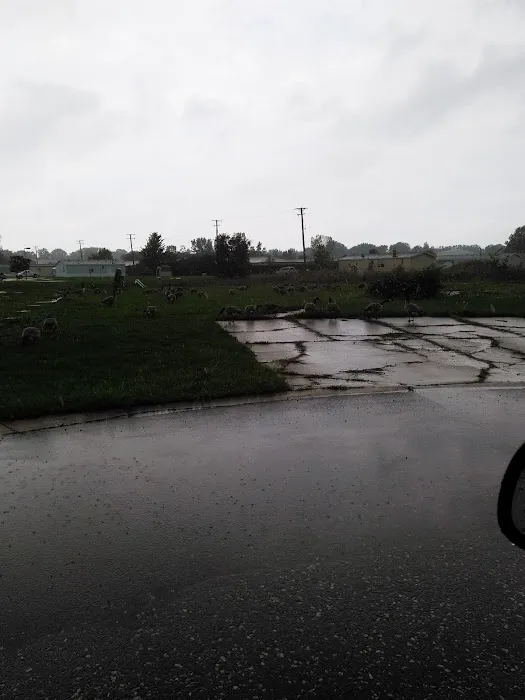 Windsor Farms Picture 2