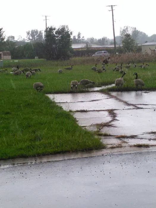 Windsor Farms Picture 4