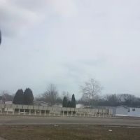 Windsor Farms ico