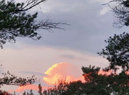 Crystal Springs Campground