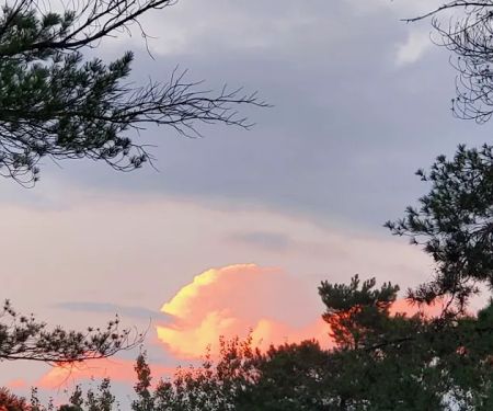 Crystal Springs Campground
