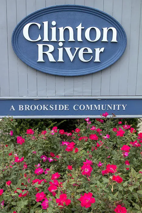 Clinton River Picture 6