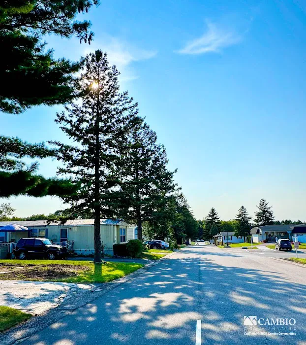 Ideal Villa Mobile Home Community Picture 9