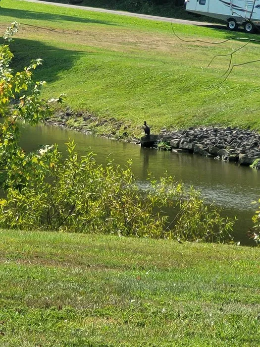 Meadow Lake Campground Picture 10