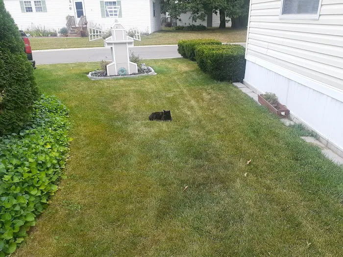 Pineview Estates Picture 1