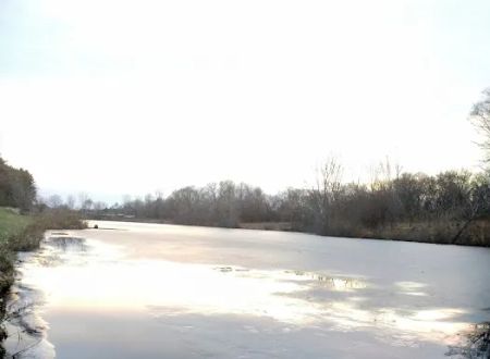 Pineview estates